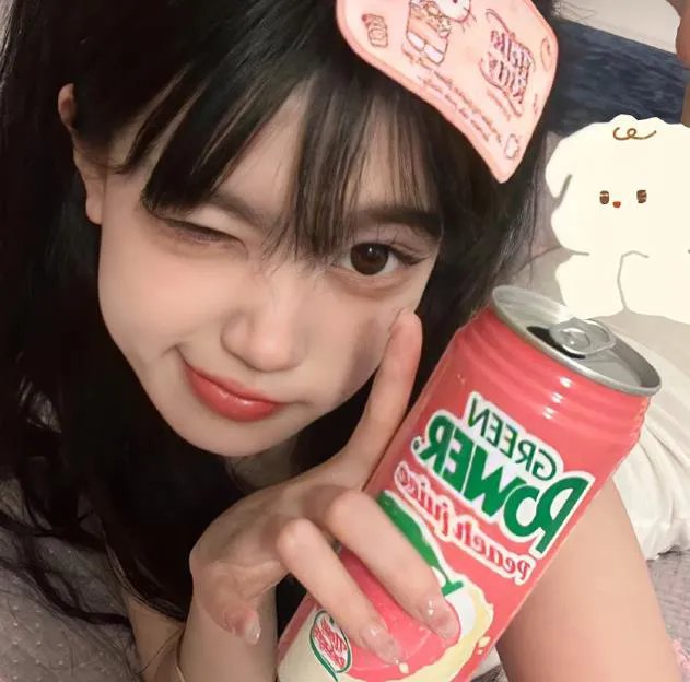 如翼之舟